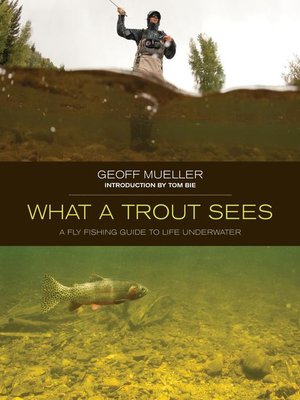 cover image of What a Trout Sees